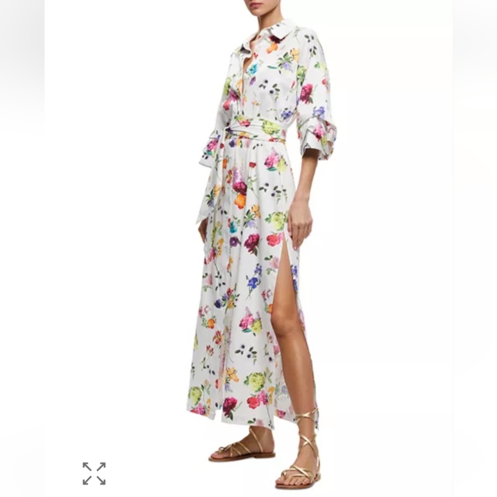 Alice + Oliva Tanika Button Down Bloom Floral Maxi Dress with Belt